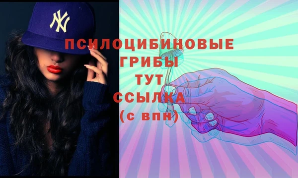Альфа ПВП Алексин