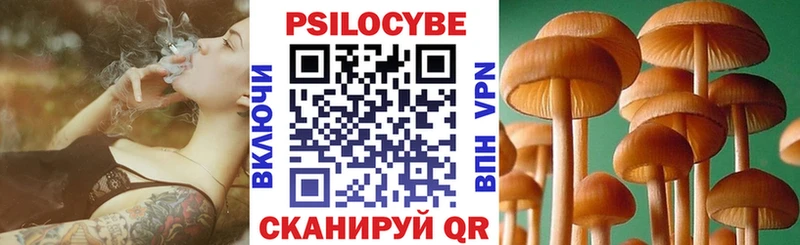 Псилоцибиновые грибы Psilocybine cubensis Конаково